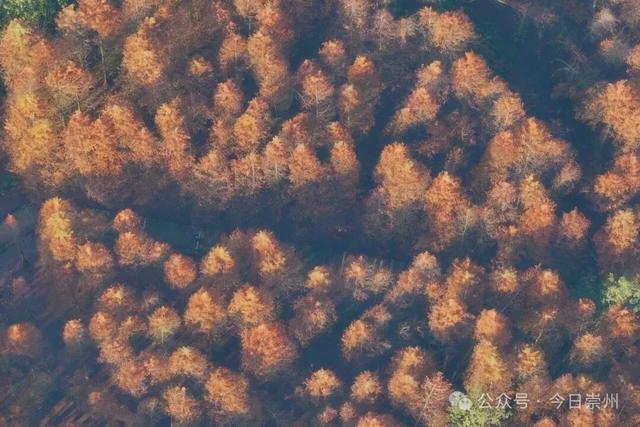 秋假去哪？崇州这些亲子游宝藏地不容错过