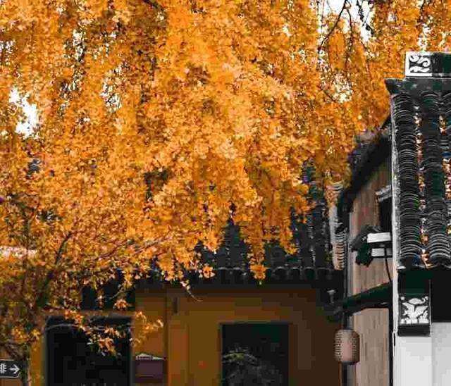 我是郑州人，去了趟甘肃兰州，不吹不黑，兰州比网上平价的还要好