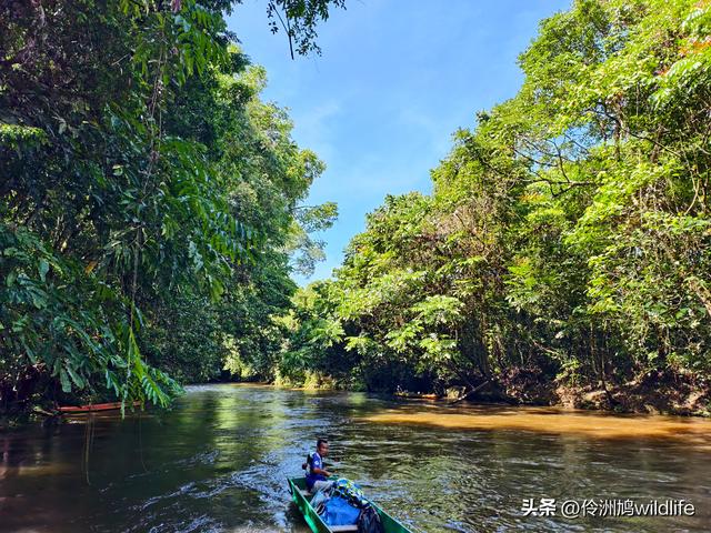马来西亚(29)砂拉越州③姆鲁山清水洞·风洞