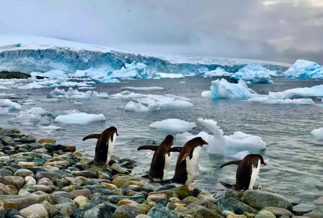 一生一次，2027年出发！41天南极半岛包船登陆，南美4国狂野自驾