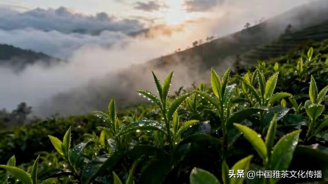 嘉州山水，诗意凡光