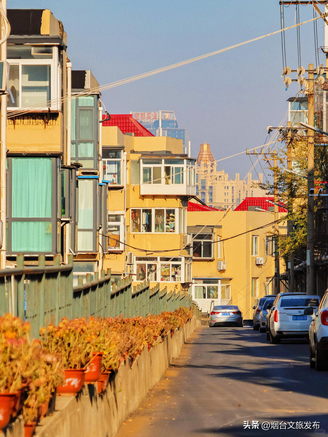 【乐游烟台】烟台散步，一个远超预期的电影感小街