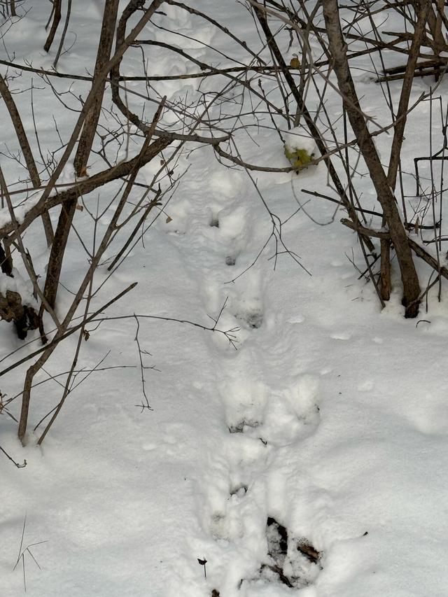 2026南太行第一场雪