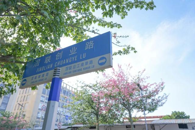 速来打卡！东莞万江这个新晋网红地：“起龙文化+生态美景”