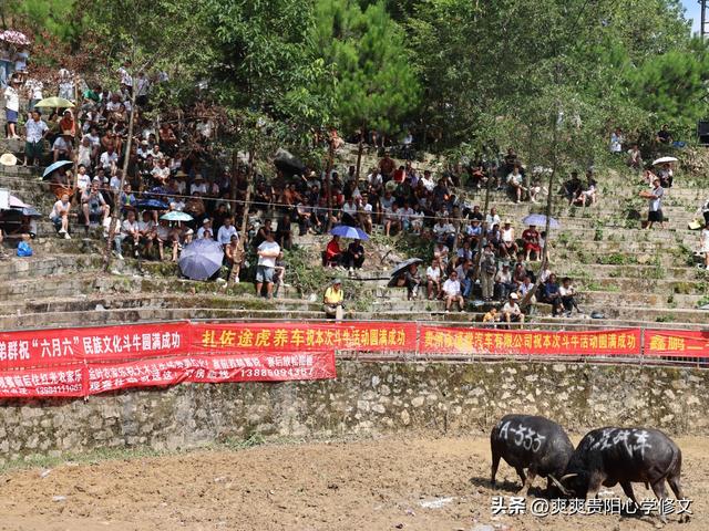 修文：清凉一夏 避暑游客纷至沓来