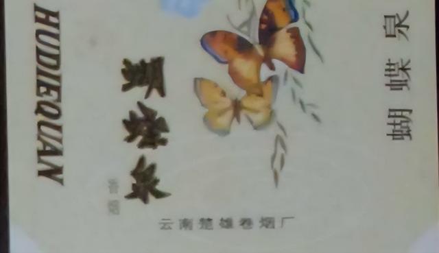 云南楚雄“蝴蝶泉”，90年代风靡全国，如今早已不见踪影