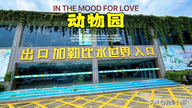 南宁动物园加勒比水世界暂停营业了，什么原因引起的？