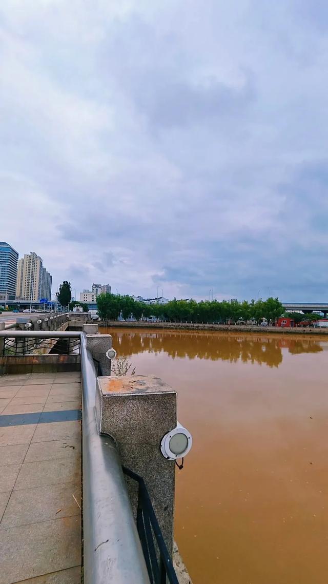 一场大雨后，秦皇岛汤河变成这样...