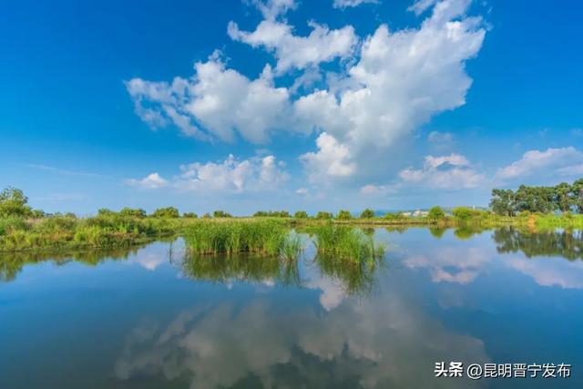 滇池南岸好风光——天光湖影共酿一夏清欢