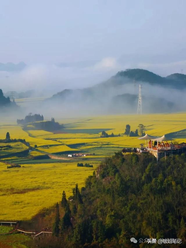 【滇东南游记·二】罗平：在金色花海里追一场春天的光影