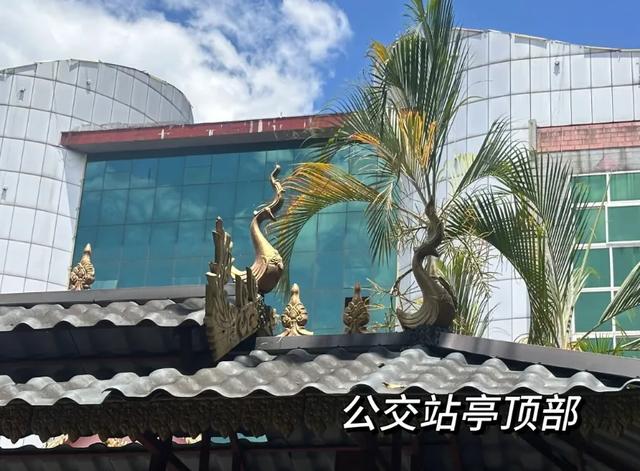 这可能是我买过的最离谱的特产：