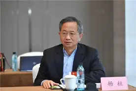 履新两个月，正厅级杨柱被查图片