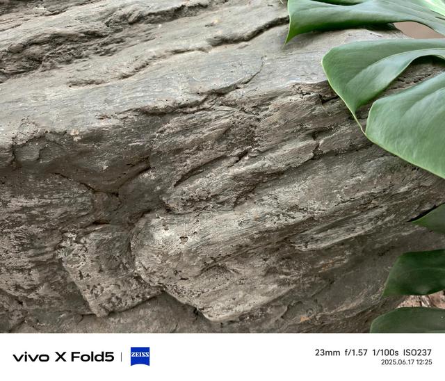 vivo X Fold5评测：苹果的好搭子