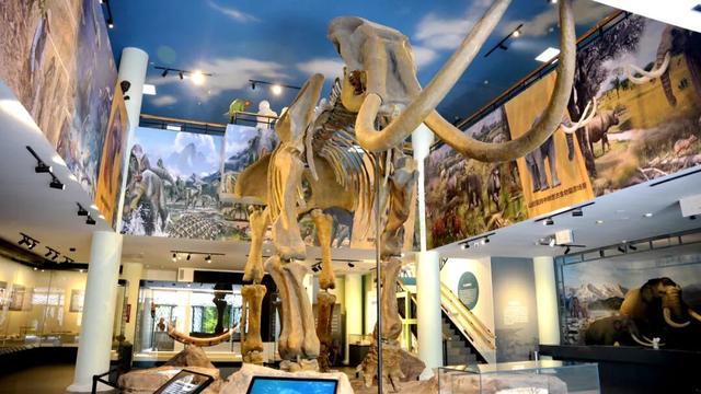 董宇辉力荐山东！潍坊，邀你赴约~