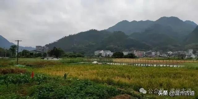 楠溪江这个冷门的秀美村庄,秘藏着一条风光旖旎的小众古道
