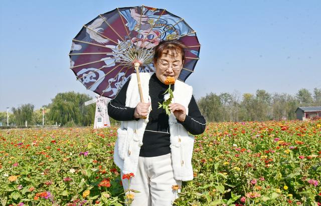 山东茌平杜郎口镇：深秋田园美景醉游人