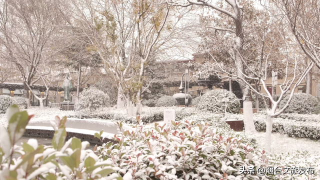 【乐游烟台】烟台这家景区太宠了！免费进、免费喝、免费玩