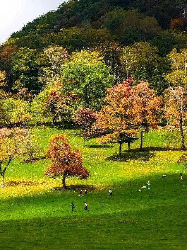 吉林这边秋色正好！重阳攀登“步步高”