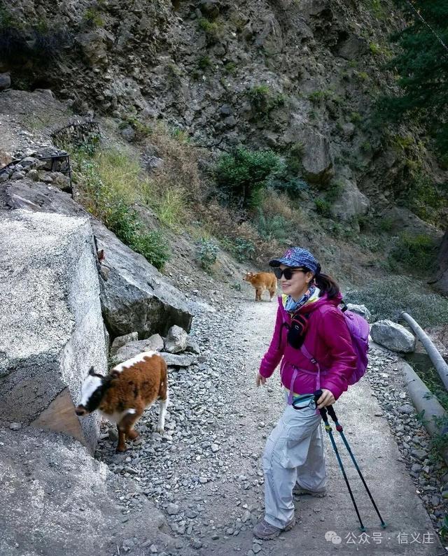 雨崩，一个让人语崩的地方（四）蹦蹦跳跳出雨崩