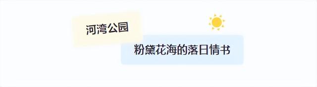 临沂免费赏秋好去处，错过你将后悔一整年！