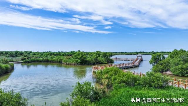 【黄河口生态旅游区】今日立秋