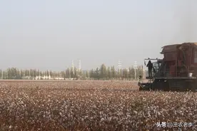 都说种地不挣钱，其实，农场多数农户还是通过种植土地挣的钱图片