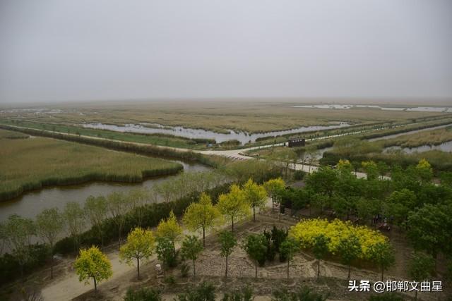 我是邯郸人，去了趟沧州市，实话实说，沧州可与邯郸相媲美