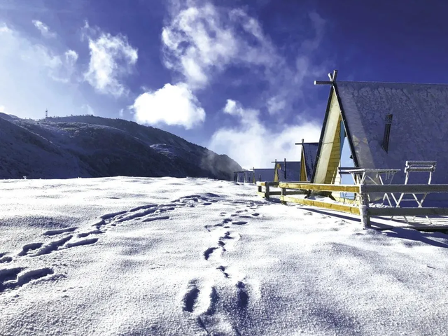 在雅安！！这么美的雪景我当然狠狠宣传啊啊啊！！