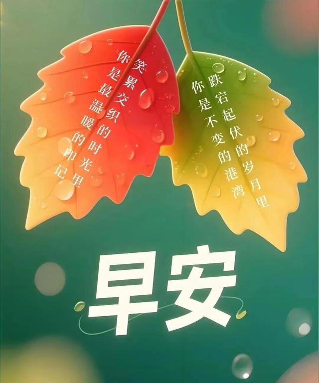 30句早安正能量励志语录，句句积极向上，激励人心，让你自信满满