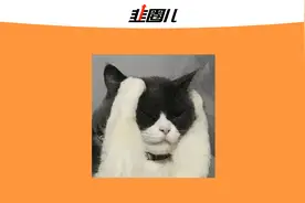 银行股人人喊打了图片