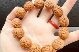 一桃压百魅，一枭震千邪；文玩中的极品—桃枭你知道吗？图片