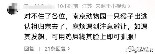江苏男子扬言打老人后续：南京文旅做出回应，身份被扒全网社死