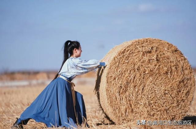 【黄河口生态旅游区】 来黄河口遇见“瑞士卷” 与候鸟的诗意邂逅