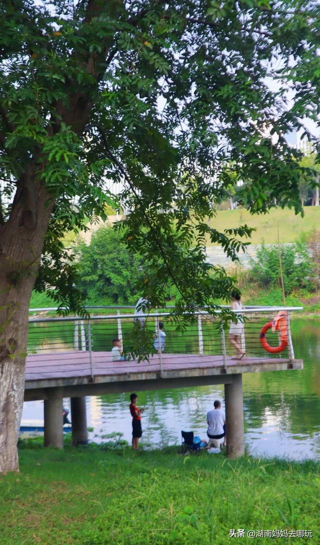1小时直达！长沙藏了片“狗尾巴草秘境”，免费露营+玩水，人少景美，错过等一年！