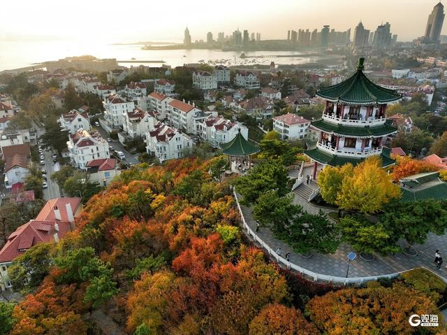 来青岛这里欣赏“秋景未尽”的诗意