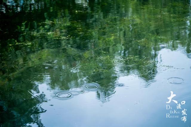 下雨天，大渡口这些地方美成「烟雨江南」，快去拍！