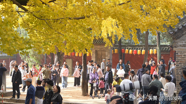 杏好遇见，刚刚好！