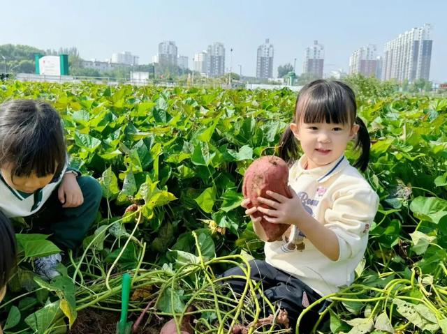 太原市小店区：国庆采摘“果”然嗨 来小店收获你的专属甜蜜！