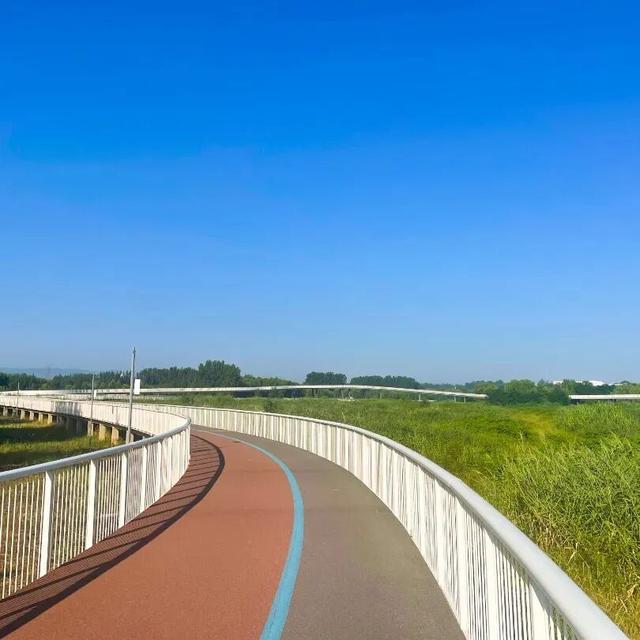 围挡拆除！淄博这个可以看水鸟的公园已面向市民免费开放！