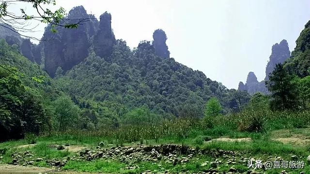 行走的山水诗篇:张家界十里画廊漫游记