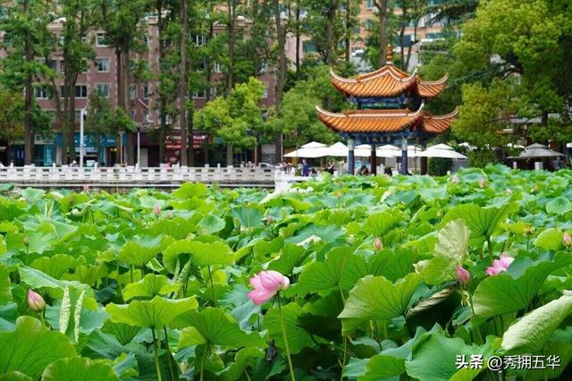 “趣”游五华|假期倒计时!今年国庆中秋假期跟着这份攻略去“翠湖”