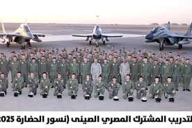 中国空军远程机动，躲过美军双航母探测，歼-10C飞抵埃及图片