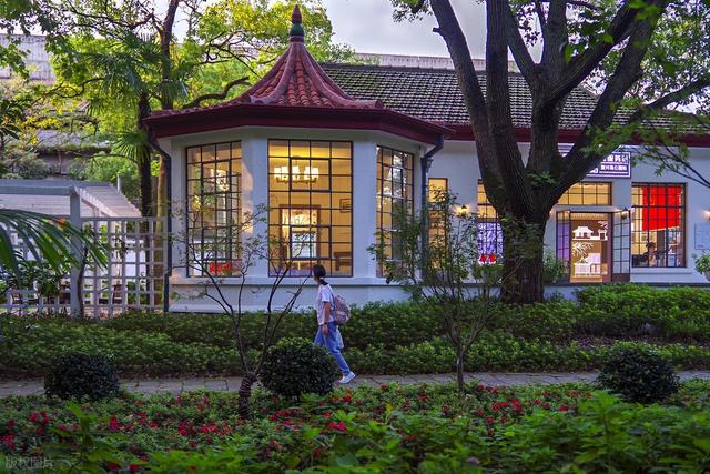 上海神秘小岛逆袭！从无人问津到3天10万人打卡，你愿住这里吗？