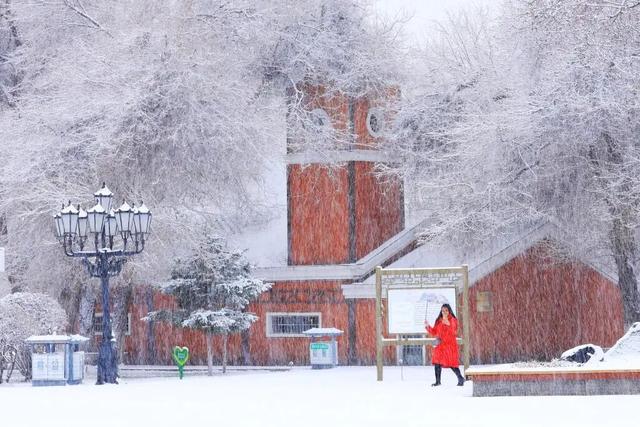 图说中国|雪落千山，解锁各地初冬诗意
