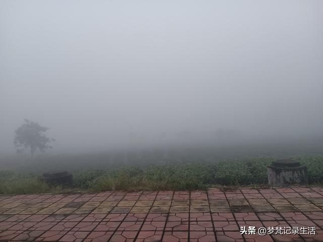 肉松的心思不难猜，低气压制造者每天都在源源不断地生产低气压