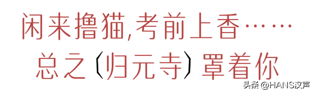 地道武汉，正在汉阳