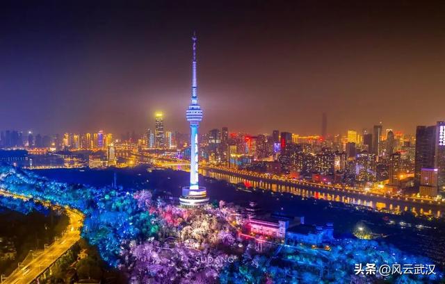 龟山电视塔2026年春节重启迎客？官方回复！