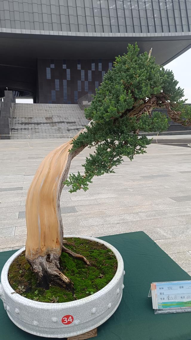 洛阳伊滨花境园缤纷世界等你来