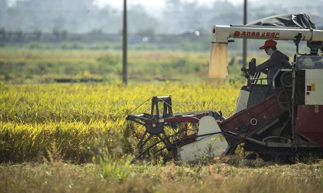 巴西大豆坐地起价？对华报价疯涨，中国买家集体停购：等两个时机