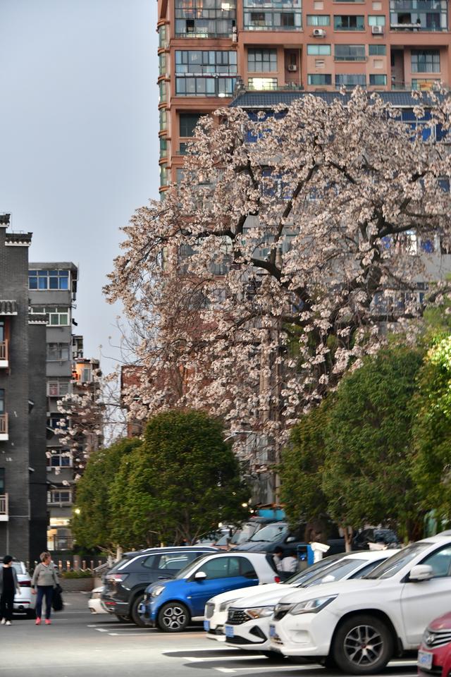 南昌滕王阁